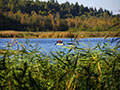 lake Granzower Möschen