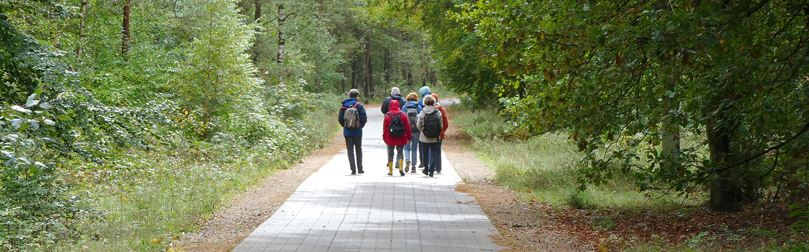 Wandern im Wald bei Mirow