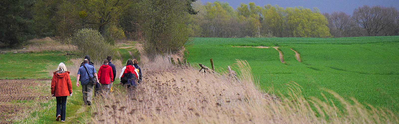 Gruppe Wandern  in Mirow  Granzow